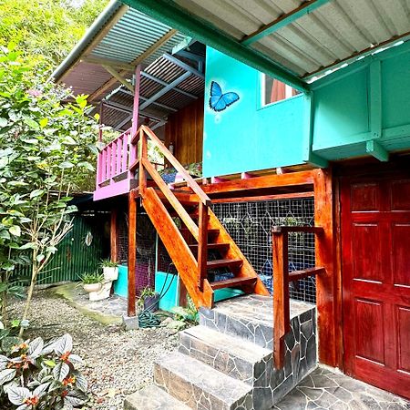 Hidden Jungle Beach House Puerto Viejo de Talamanca Ngoại thất bức ảnh