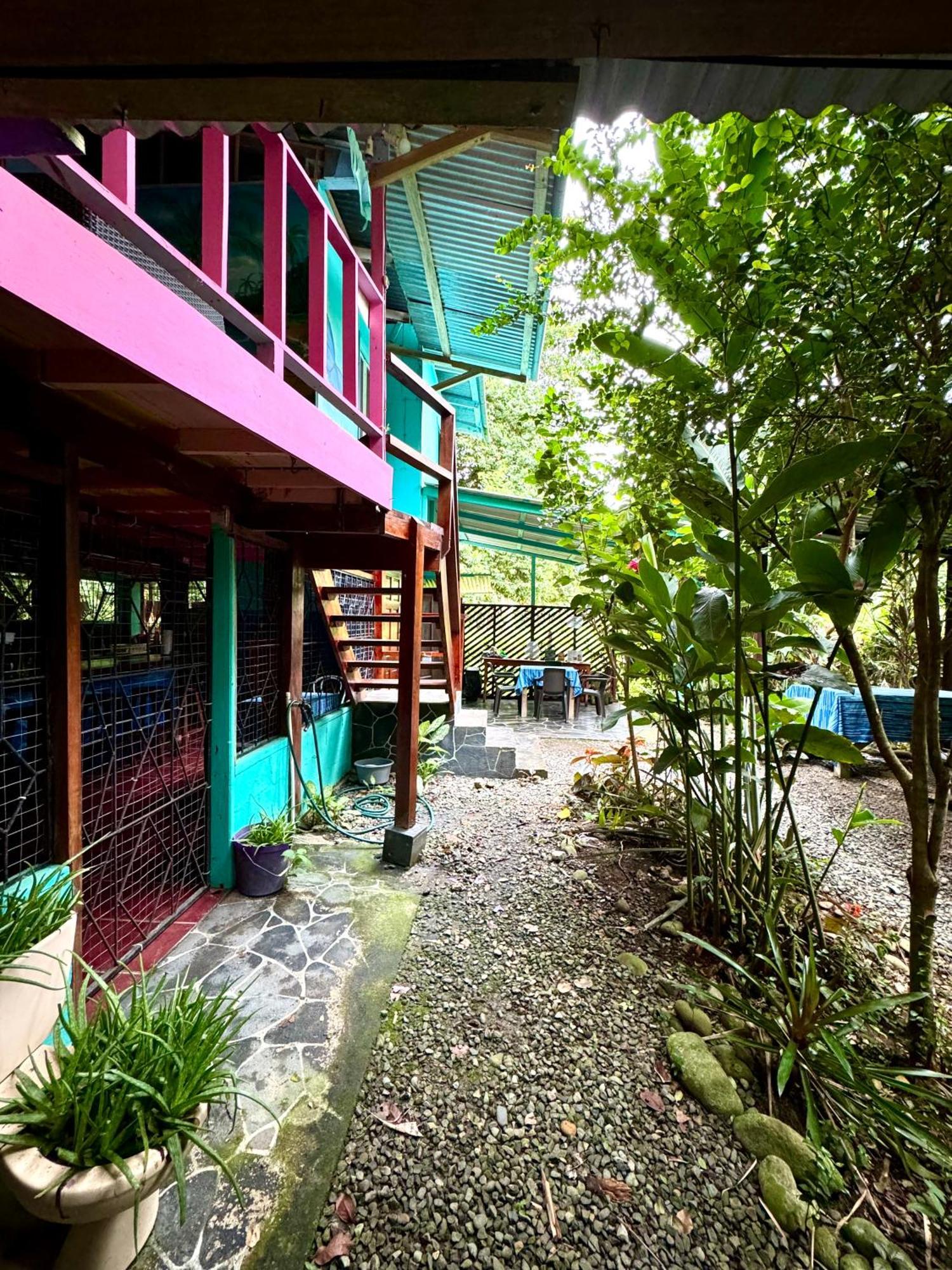 Hidden Jungle Beach House Puerto Viejo de Talamanca Ngoại thất bức ảnh